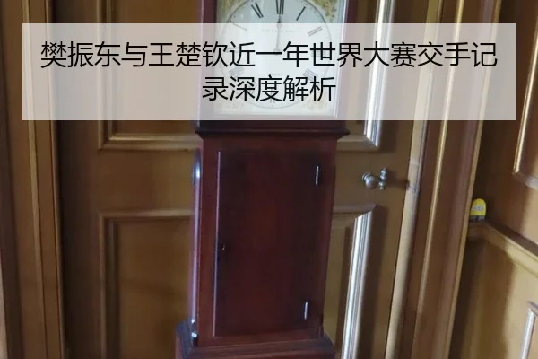 樊振东与王楚钦近一年世界大赛交手记录深度解析